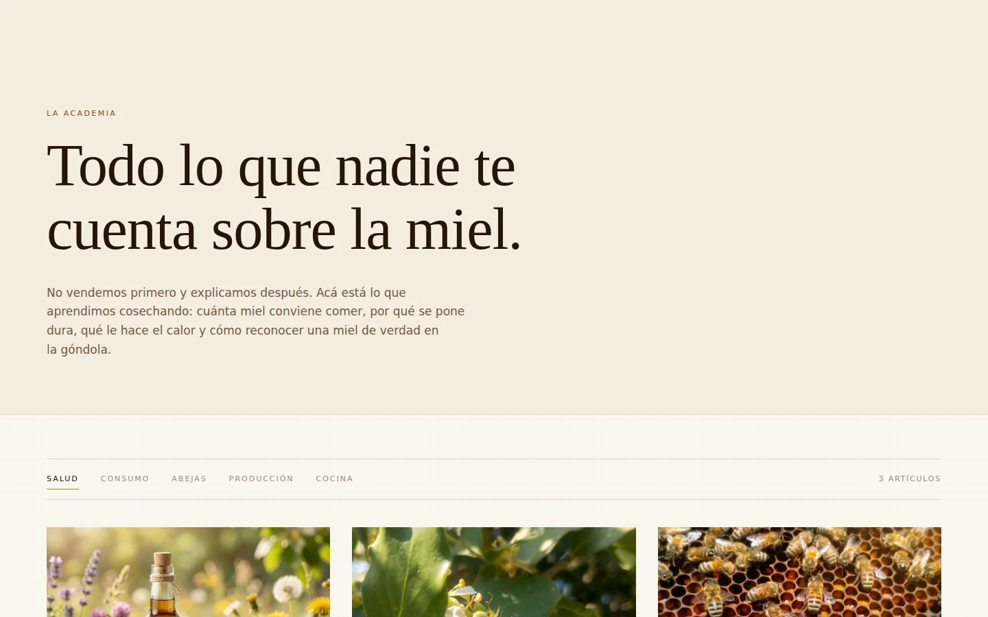 Índice de la Academia de la Miel en el sitio web — la app muestra el mismo contenido, servido por un endpoint aparte